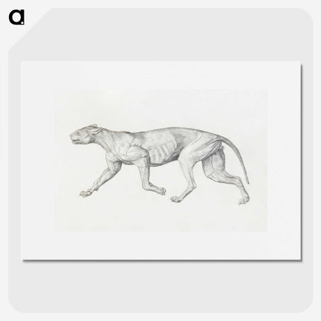 2-4_George-Stubbs_picture