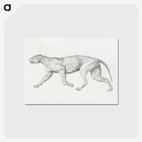 2-4_George-Stubbs_postcard