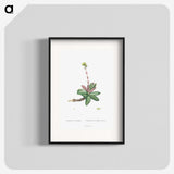 2-4_Histoire-des-Plantes-Grasses_blk