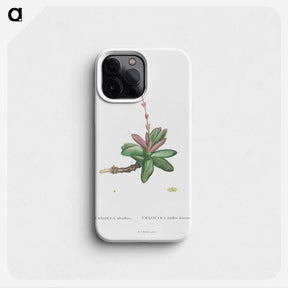 2-4_Histoire-des-Plantes-Grasses_phone