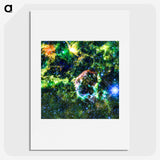 2-4_Hubble-Images_picture