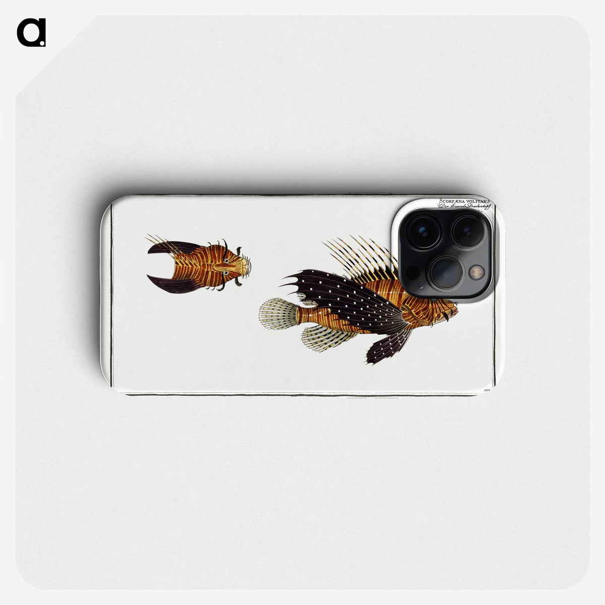 2-4_Ichtyologie-ou-Histoire-naturelle_phone