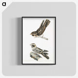2-4_Indian-Zoology_blk-crop