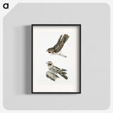 2-4_Indian-Zoology_blk
