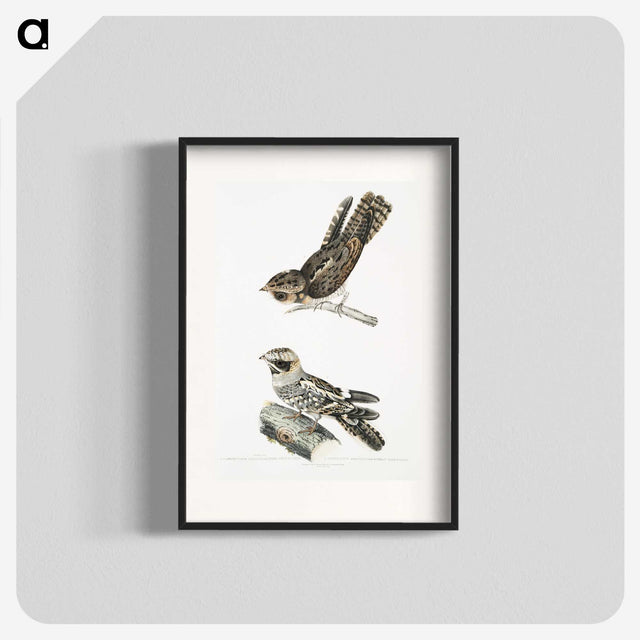 2-4_Indian-Zoology_blk