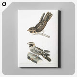 2-4_Indian-Zoology_canvas