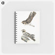 2-4_Indian-Zoology_memo
