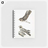 2-4_Indian-Zoology_memo