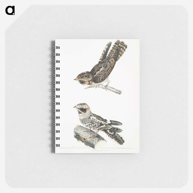 2-4_Indian-Zoology_memo