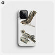 2-4_Indian-Zoology_phone