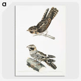2-4_Indian-Zoology_picture-crop