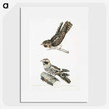 2-4_Indian-Zoology_picture