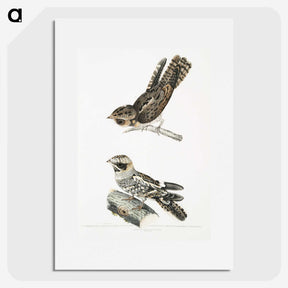 2-4_Indian-Zoology_picture