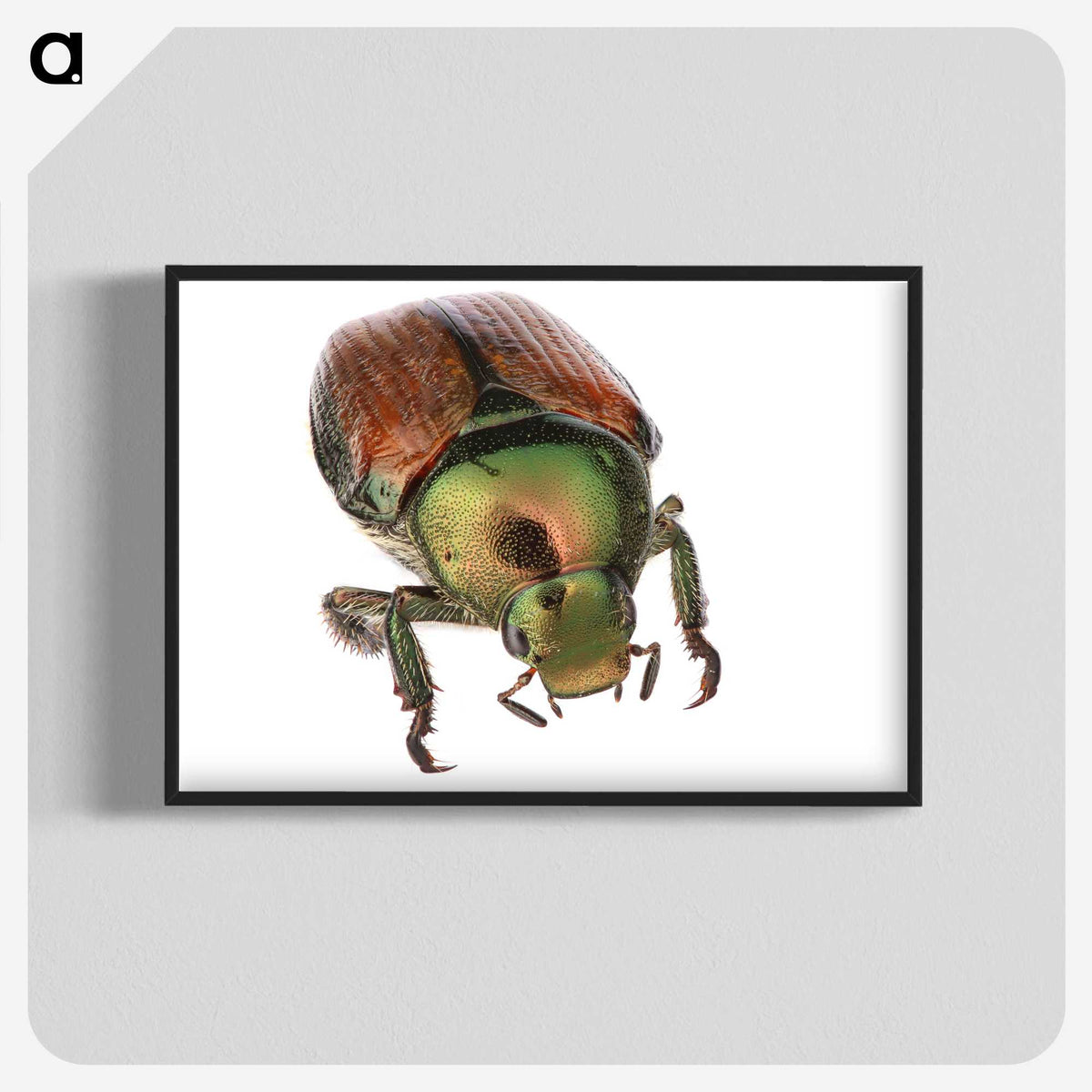 2-4_Insects-Unlocked-Project_blk-crop