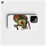 2-4_Insects-Unlocked-Project_phone