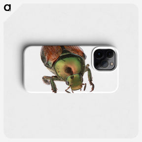 2-4_Insects-Unlocked-Project_phone