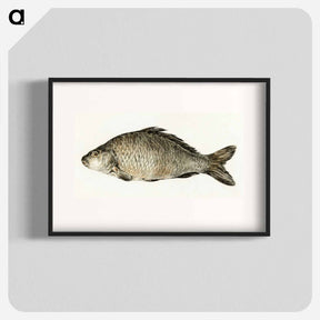 アートポスター-Fish - ジャン ベルナール Poster.