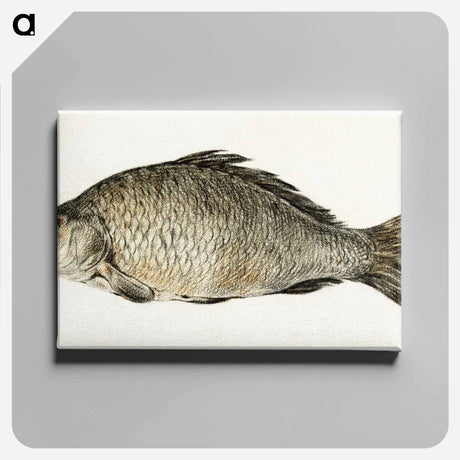 アートパネル-Fish - ジャン ベルナール Canvas.