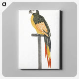 2-4_Johan-Teyler_canvas