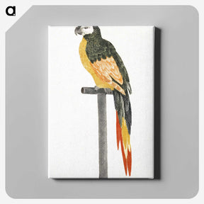 2-4_Johan-Teyler_canvas