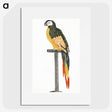 2-4_Johan-Teyler_picture