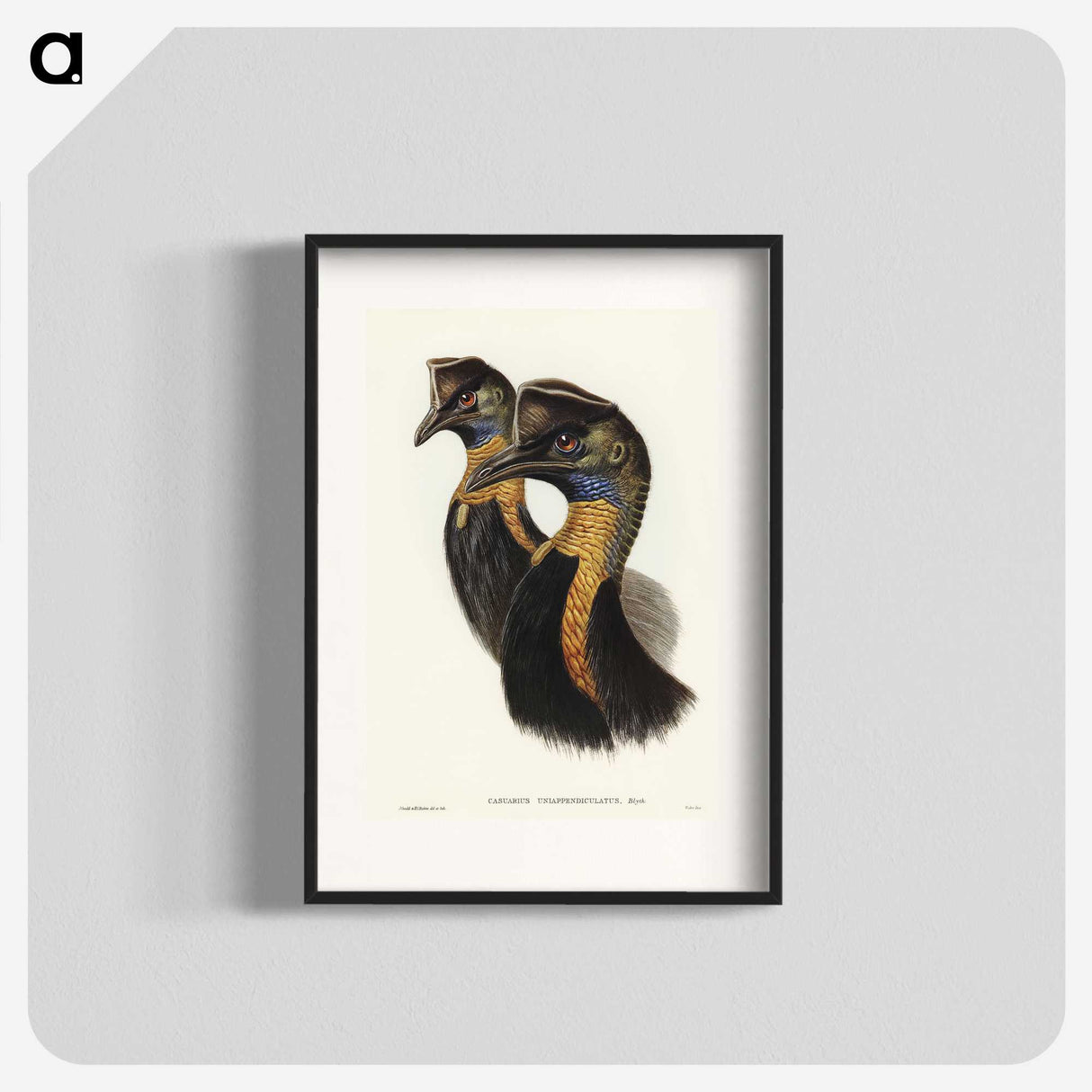 2-4_John-Gould_blk