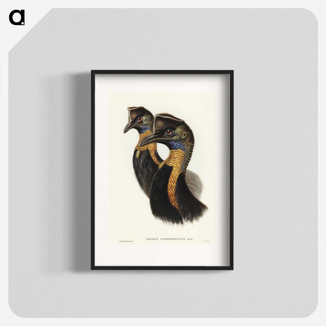 2-4_John-Gould_blk