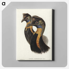 2-4_John-Gould_canvas