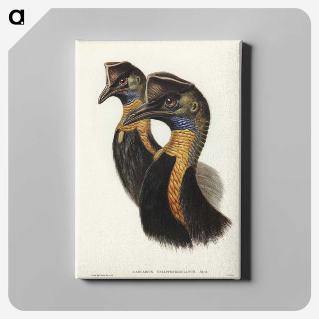 2-4_John-Gould_canvas