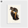アートポストカード-One-Carunculated Cassowary
 - ジョン グールド Postcard.