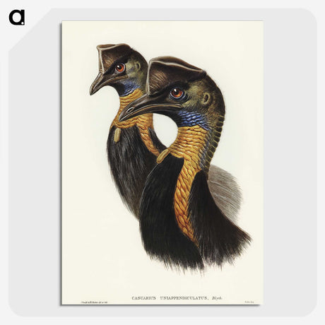 2-4_John-Gould_picture-crop