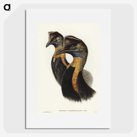 2-4_John-Gould_picture