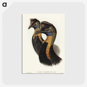 2-4_John-Gould_postcard