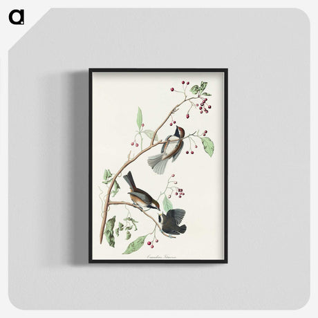 2-4_John-James-Audubon_blk-crop