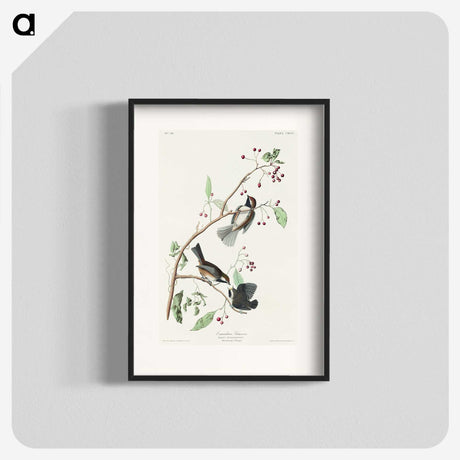 2-4_John-James-Audubon_blk