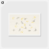 アートポストカード-One Thousand Butterflies - 神坂 雪佳 Postcard.