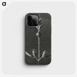 2-4_Karl-Blossfeldt_phone