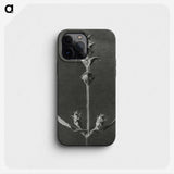 2-4_Karl-Blossfeldt_phone