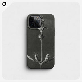 2-4_Karl-Blossfeldt_phone