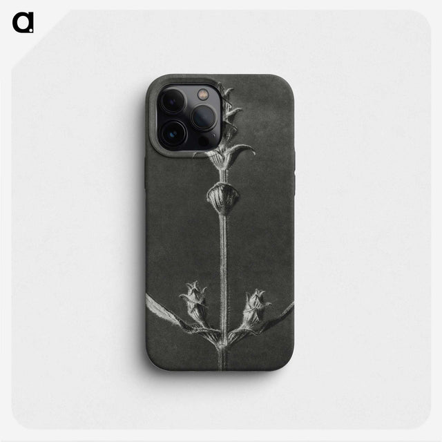 2-4_Karl-Blossfeldt_phone
