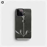 Salvia enlarged 5 times from Urformen der Kunst by Karl Blossfeldt - Karl Blossfeldt Phone Case.