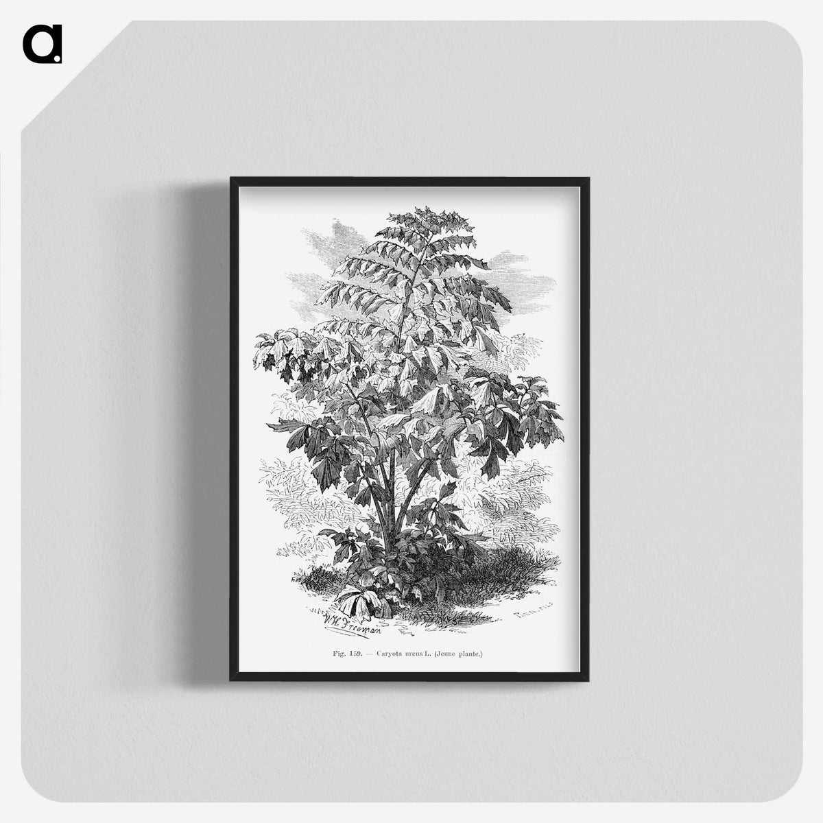 2-4_Les-Palmiers-Histoire-Iconographique_blk-crop