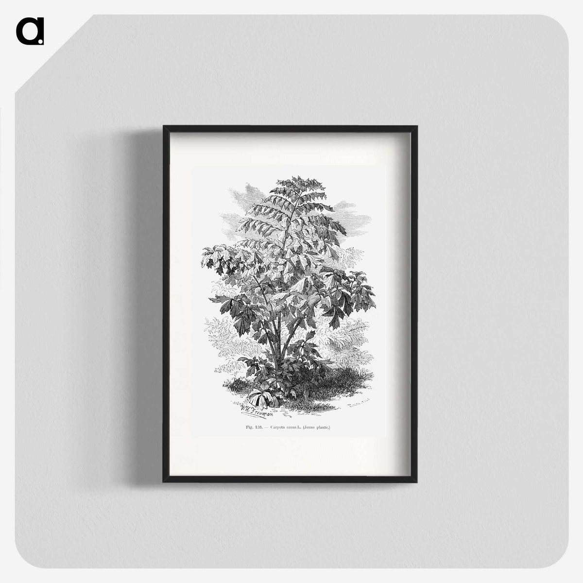 2-4_Les-Palmiers-Histoire-Iconographique_blk