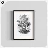 2-4_Les-Palmiers-Histoire-Iconographique_blk