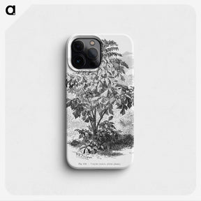 2-4_Les-Palmiers-Histoire-Iconographique_phone