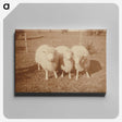 2-4_Leslie-Adkin_canvas