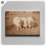 2-4_Leslie-Adkin_canvas