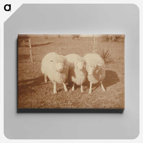 2-4_Leslie-Adkin_canvas