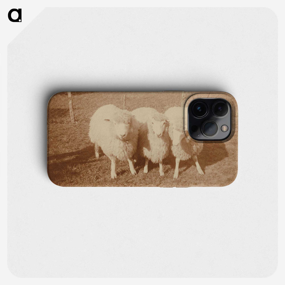 2-4_Leslie-Adkin_phone