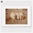 2-4_Leslie-Adkin_picture